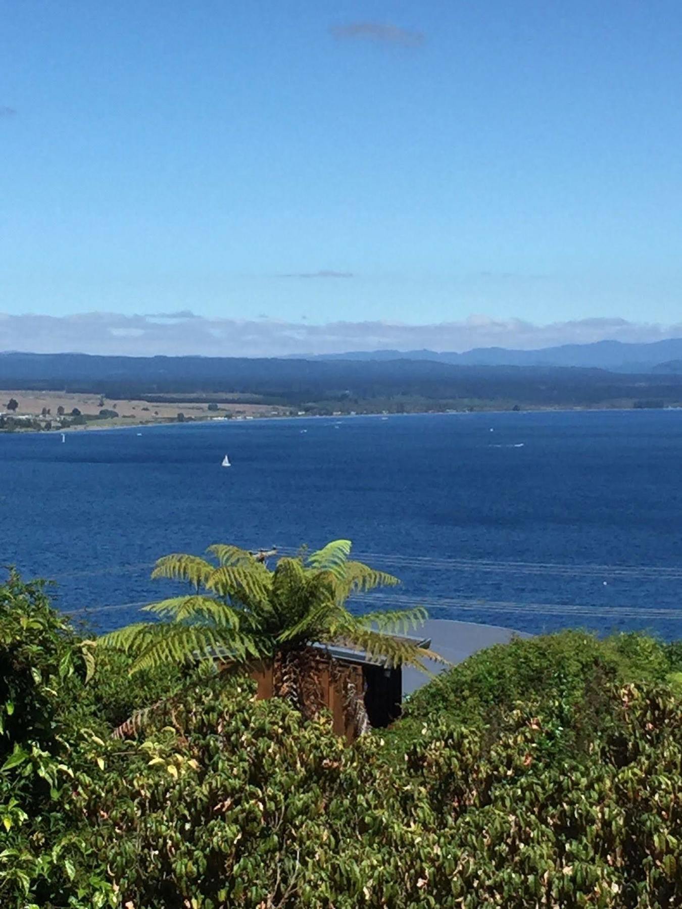 The Flying Trout Boutique Lodge Lac Lac Taupo Extérieur photo