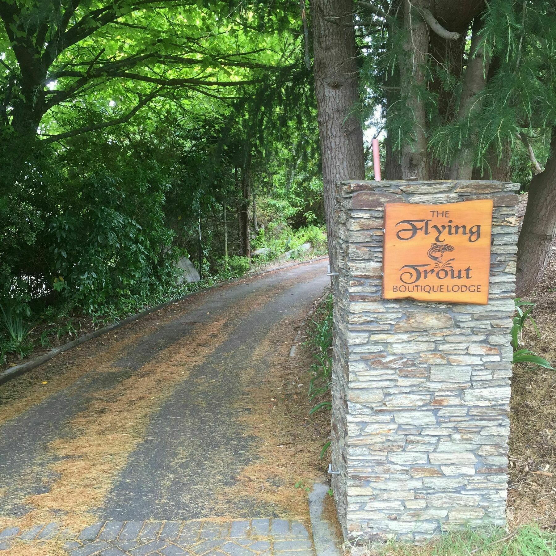 The Flying Trout Boutique Lodge Lac Lac Taupo Extérieur photo